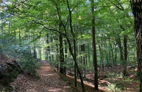 Holiday Home Schönes Ferienhaus in Brochterbeck mit Garten by Interhome - Foto 23