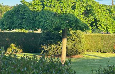 Casa dos olivos - Foto 18