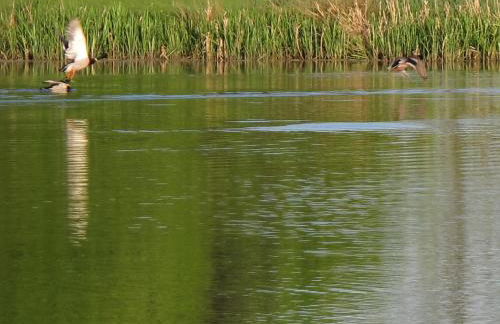 Fair Farm Hideaway - Photo 46