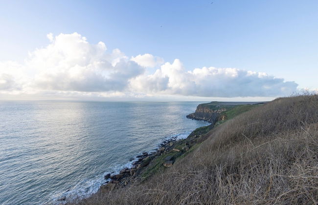 Cosy Cottage a Stone's Throw From Cap Gris Nez - Foto 39