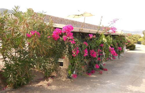 Case Vacanze Margherita - Foto 23