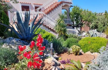 Apartmani Stipe - Foto 16