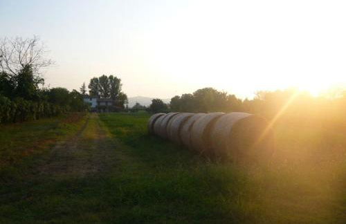 Agriturismo Bosco Del Fracasso - Photo 14