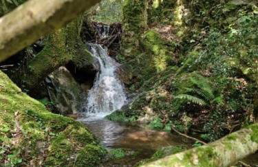 les gîtes du Mas ANNA - Foto 34