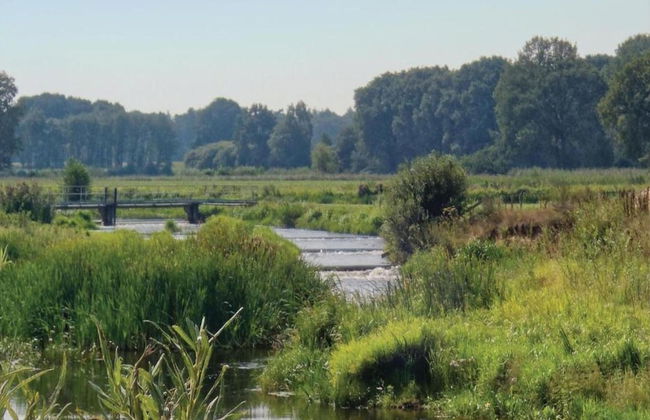 Holiday Home in Arrien Near Beerze Nature - Foto 25