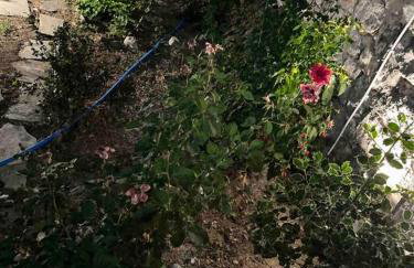 Μιτάτο Οίτη - Foto 36