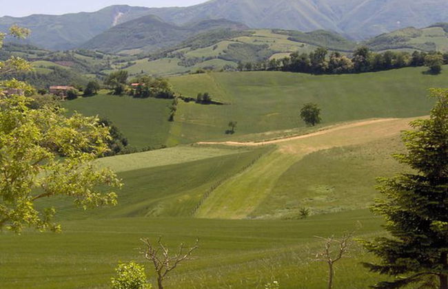 Holiday Home in Urbania With Garden BBQ - Foto 15