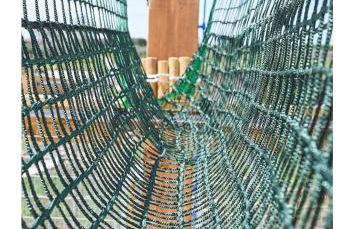 Il poggio degli antichi sapori - Foto 38