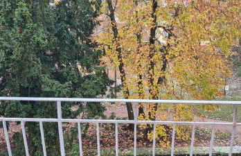 Meublé du 25 N°5 de tourisme 3* - Foto 8