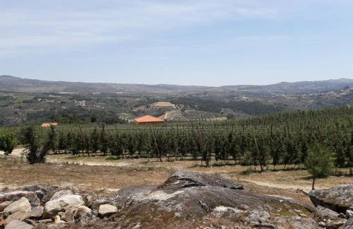 Casa do Feitor - Douro - Quinta da Cabrida - Foto 75