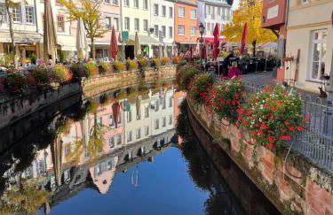 Kleine Auszeit Ferienwohnung nahe Bosenbergklinik mit Parkplatz, Haustiere willkommen - Foto 38