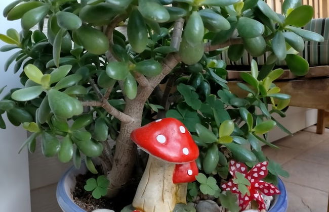 Azafrán Consuegra Casa Rural - Foto 37