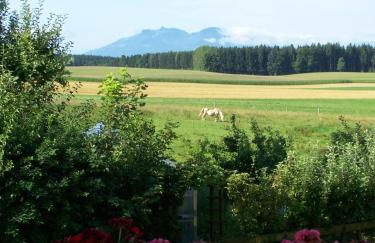 Haus Strobl - Foto 14