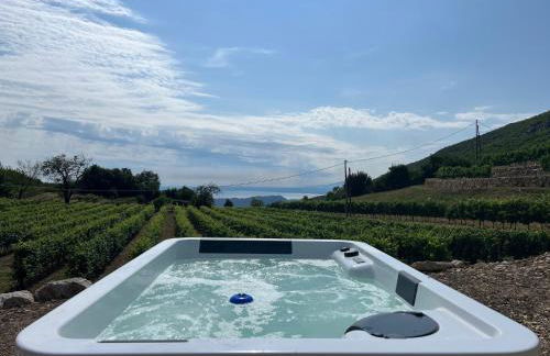 Poderi Campopian - Foto 28