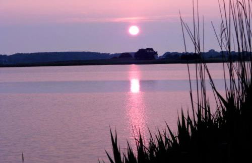 Ferienwohnung Seerose - Foto 34