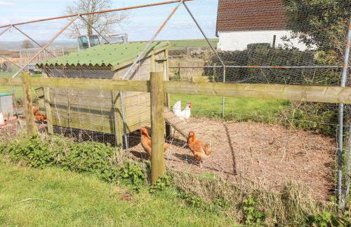 Dairy Cottage - Foto 22