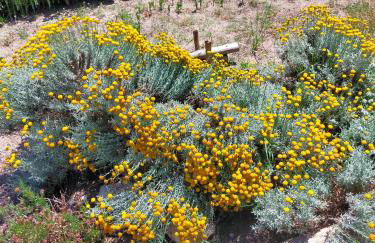 Casa Marina Lu Tuvaraggiu Casa vacanze - Photo 38