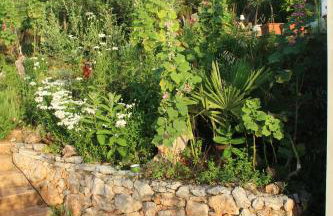 Mary's Garden - Foto 17