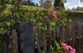 Berg-Panorama-Ferienwohnungen Gut-Lichtenau - Foto 20