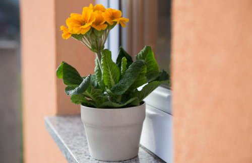 Apartman Urban Nature - Foto 49