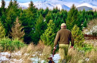 The Lodge at Muir Estate - Foto 41