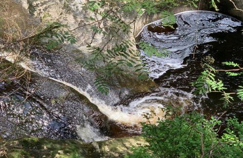 Bayerwaldnest - Foto 46