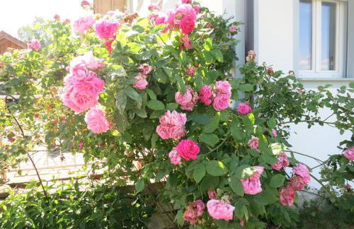 Ferienhof Landhaus Michael - Foto 9