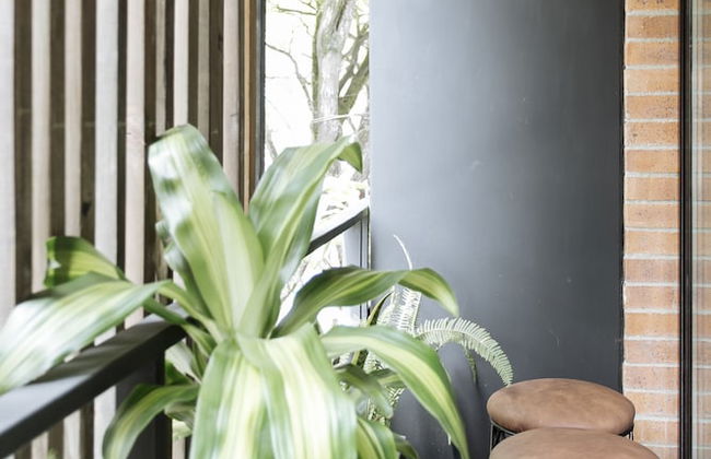 Soy Local Provenza - Foto 49