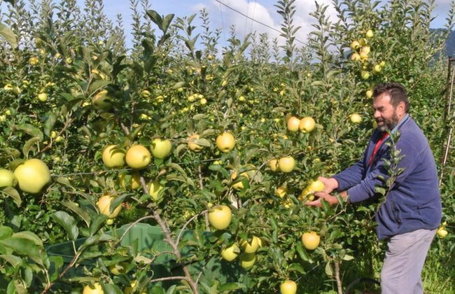 Agriturismo Bortolotti - Photo 67