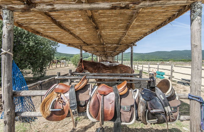 Tenuta Uccellina - Foto 60