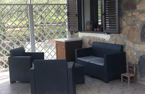 NicChia Turchese - Foto 9