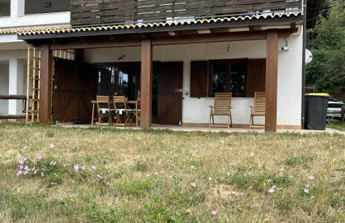 Tra il bosco e il lago - Foto 14