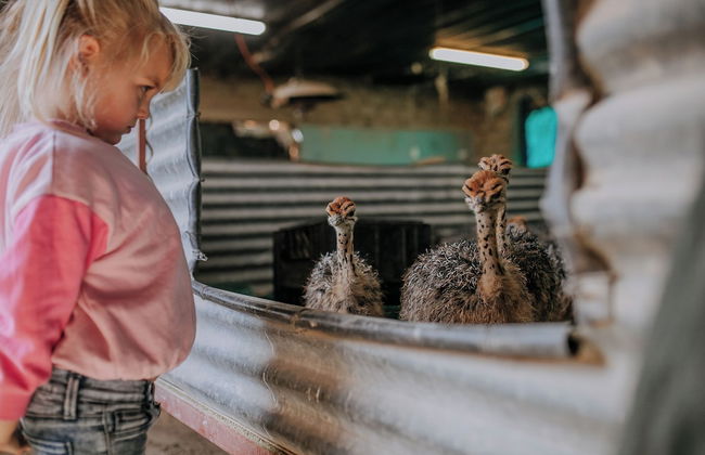 AfriCamps Klein Karoo - Foto 20