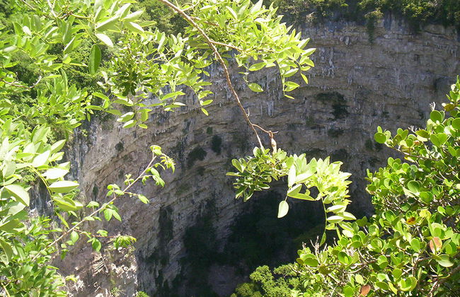 Sima de las Cotorras - Foto 4