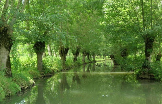 Gite in Etretat Near Cliffs & Beach - Foto 40