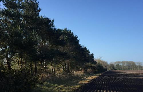 Chez Marguerite Shepherd's Hut with Private Sauna, Outside Bath - Photo 23