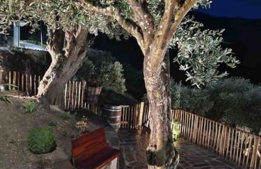 maison du olival - Foto 67