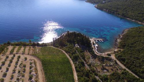 Apartments Koras - Foto 3