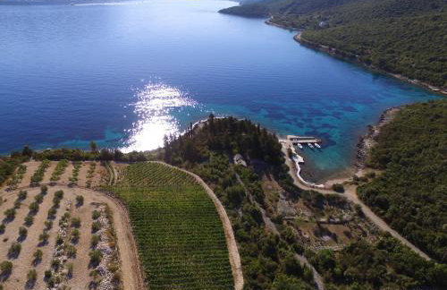 Apartments Koras - Foto 3