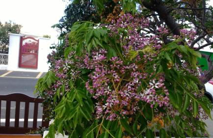 Casa Montaña de Tahiche - Foto 56