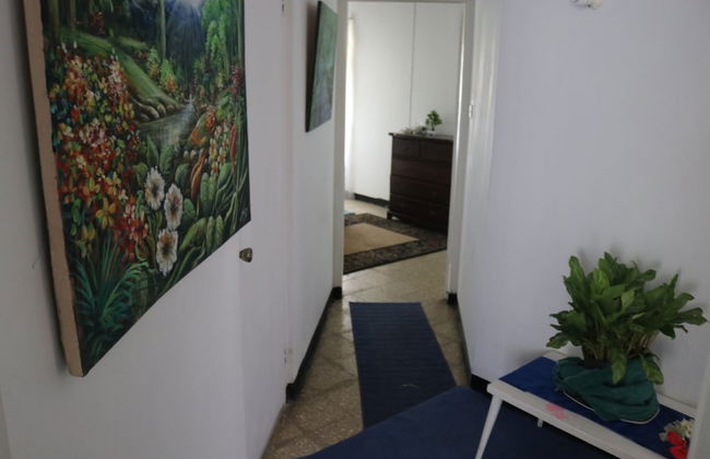 Beach Palm Villa - Photo 48