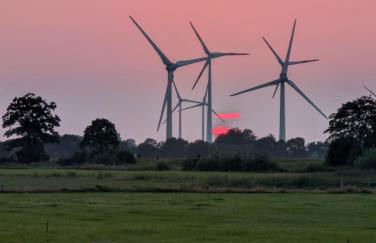 Traumkrone Ferienwohnungen - Wiesengrün - Foto 48
