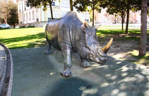 Apartamento ideal Florida - Foto 23