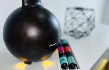 Modern Home with large private yard - Next to downtown & beach & airport - Pet friendly - Foto 12