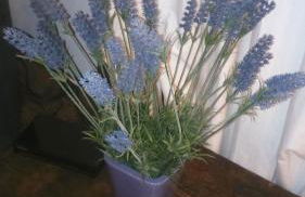 La Residence da Caterina - Photo 36