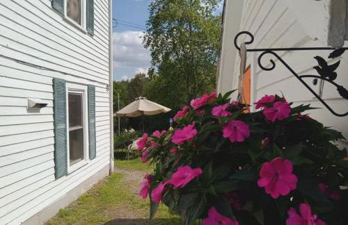 10 Mi to Gore Mountain- Home in Adirondack Park home - Photo 70