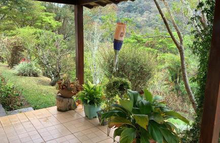 Vale das Estrelas - vale das videiras - araras - Foto 24