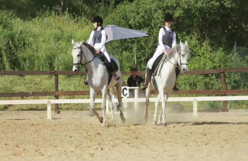 Farmhouse With Stables, Horses and the Ability to Make Horseback Riding - Photo 76