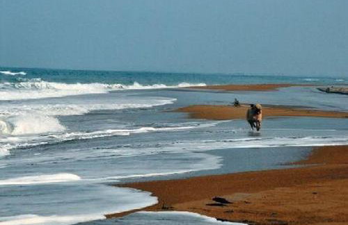 Villa Thea - Foto 28