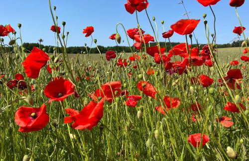 Apartamenty CEKCYN - KOLEJOWA 6 - Foto 75